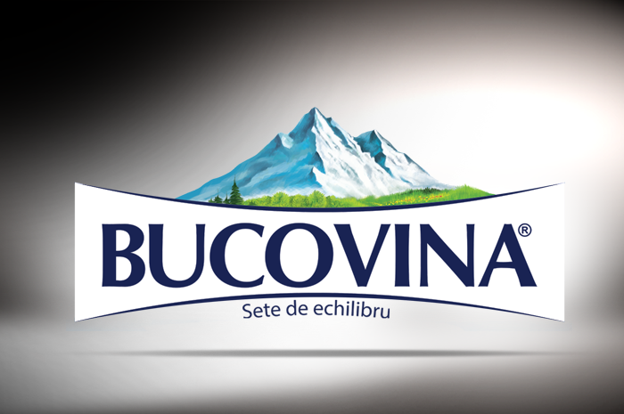 Bucovina development of brand identity